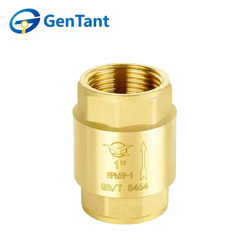 Bagaimanakah Injap Semak Spring Meningkatkan Kecekapan Sistem?