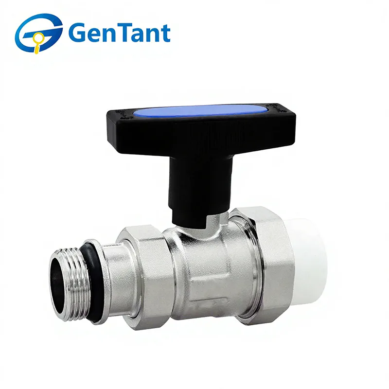 Bagaimanakah Injap Pemulangan Long Shank Berfungsi?