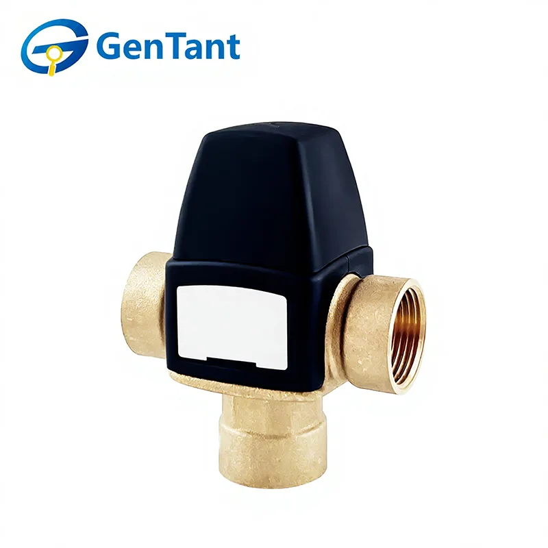 Injap Campuran Termostatik Dengan Saluran Air Sisi